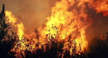 Goiás aplica medidas para evitar incêndios florestais